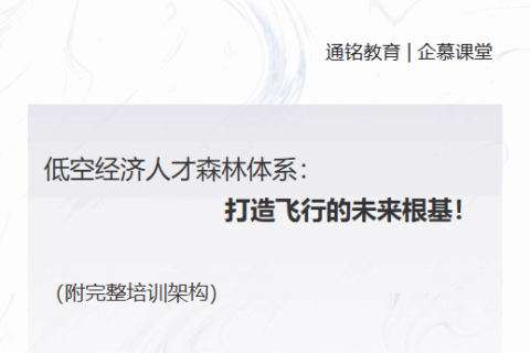 低空经济人才森林体系：打造飞行的未来根基！（附完整培训架构）