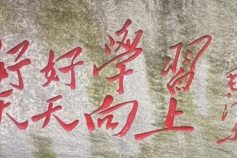 学习笔记：《培训管理：从入门到精通》核心干货与逻辑梳理